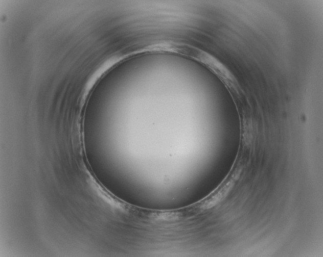 X0000072500808200607141128