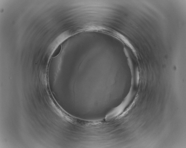 X0000072500810200607141128