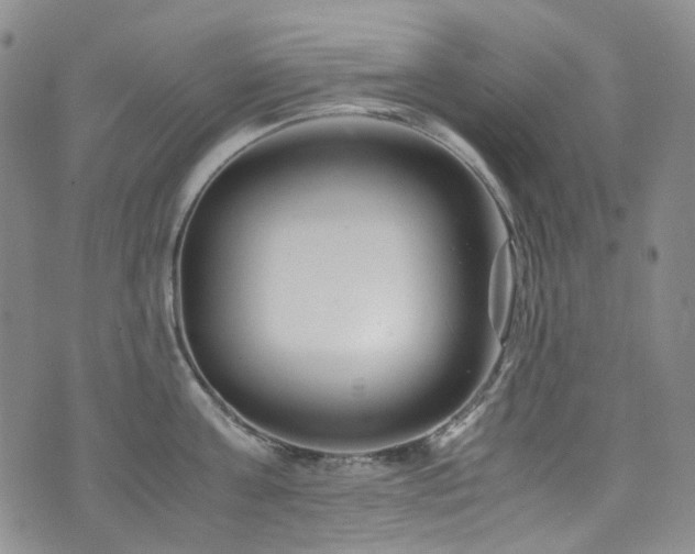 X0000072500811200607141128