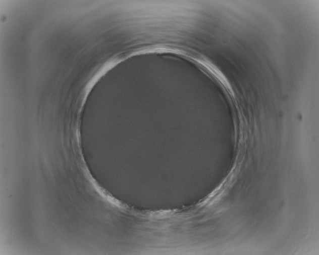 X0000072500813200607141128