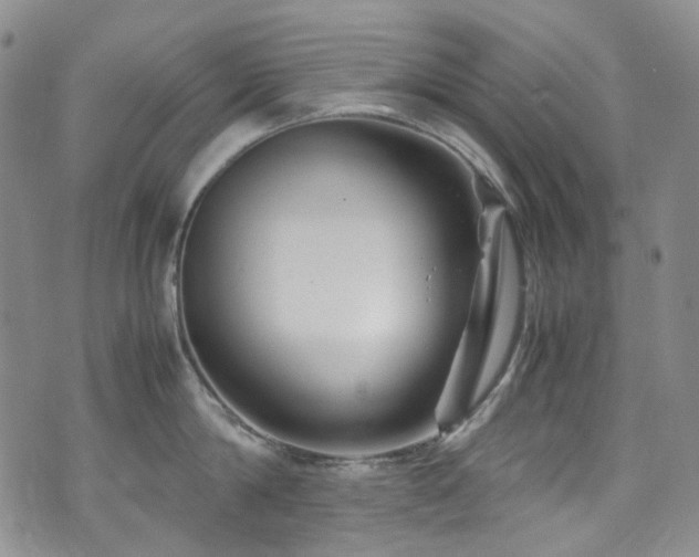 X0000072500814200607141128