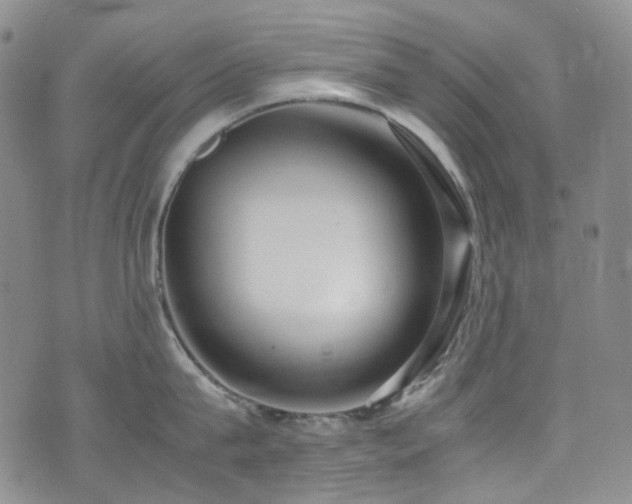 X0000072500815200607141128