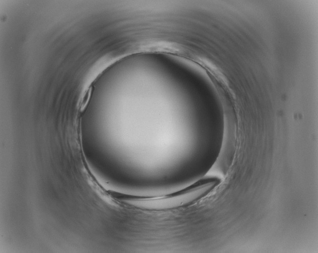 X0000072500816200607141128