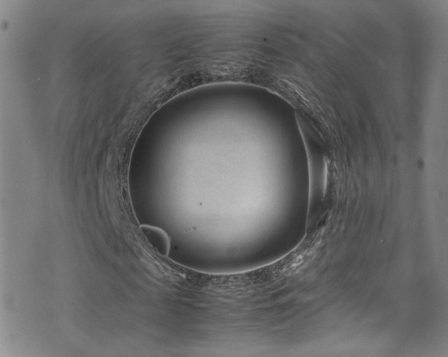 X0000072500817200607141127