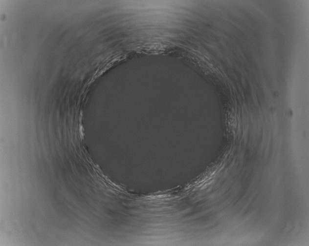 X0000072500818200607141127