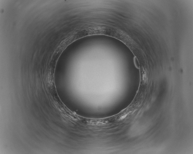 X0000072500819200607141127