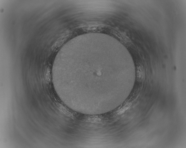 X0000072500820200607141127