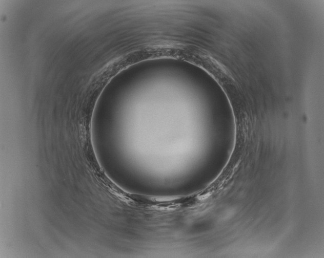 X0000072500821200607141127