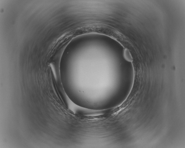 X0000072500822200607141127