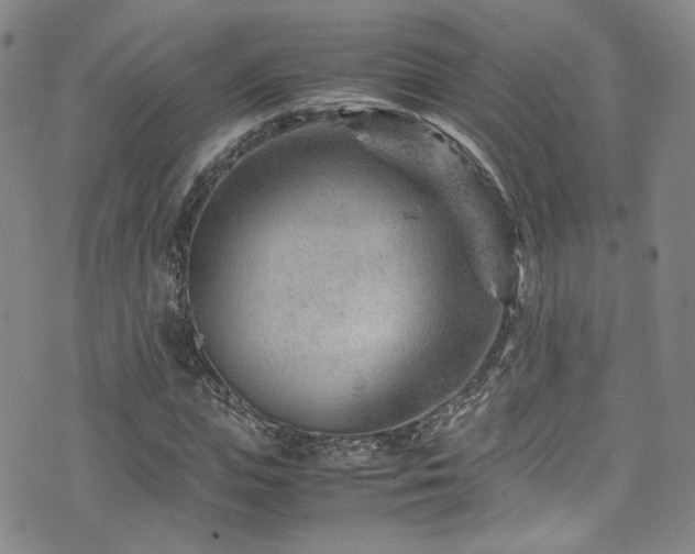 X0000072500823200607141127