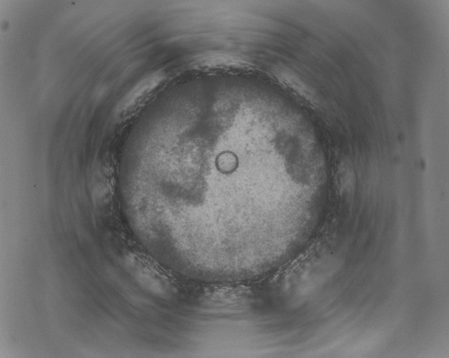 X0000072500824200607141127