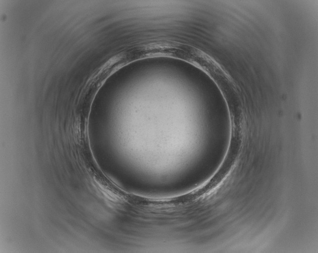 X0000072500825200607141127