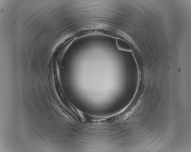 X0000072500826200607141127