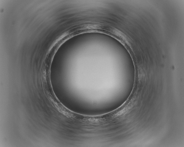 X0000072500827200607141127