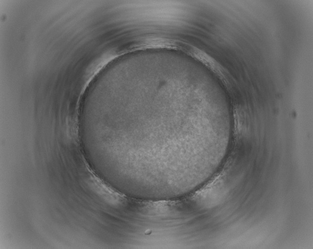 X0000072500828200607141127