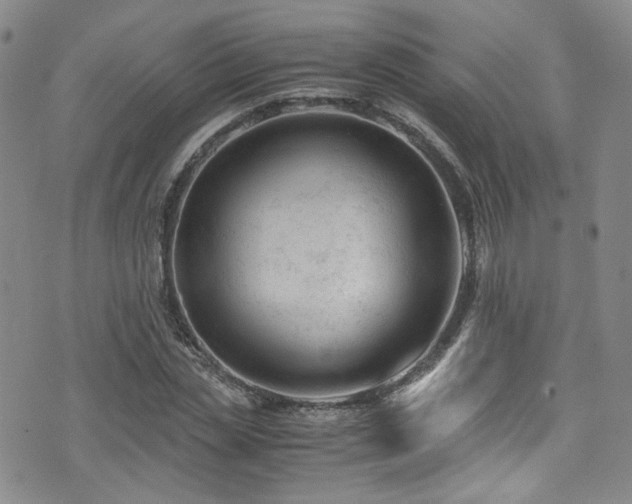 X0000072500829200607141127