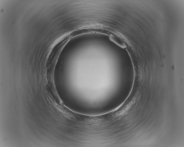 X0000072500830200607141127