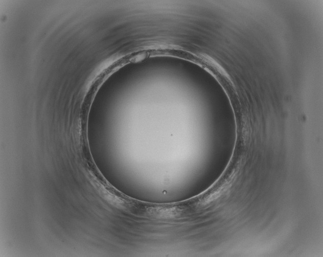 X0000072500831200607141127