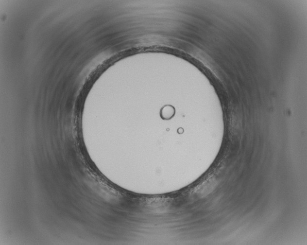 X0000072500832200607141127