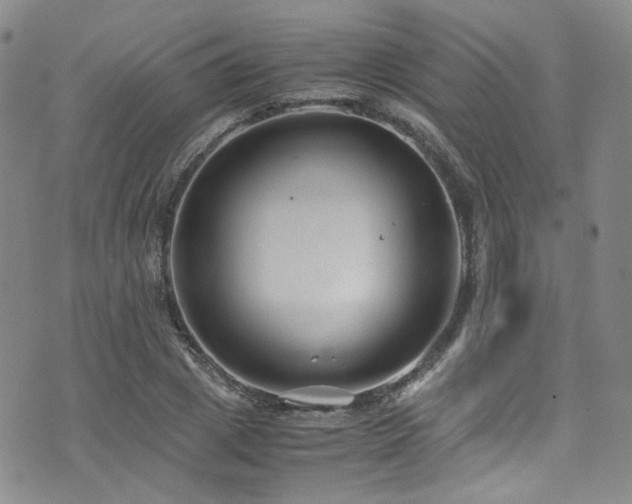 X0000072500833200607141127