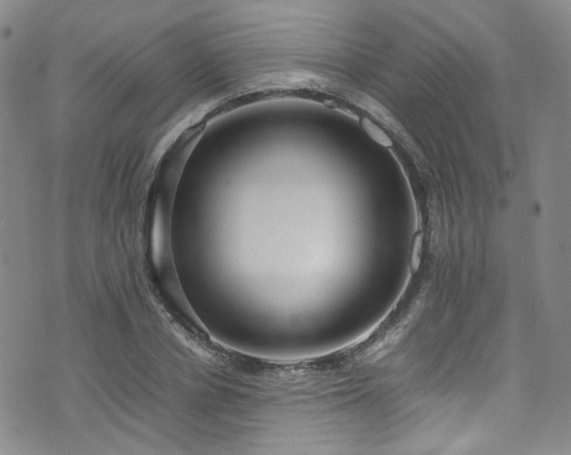 X0000072500834200607141127