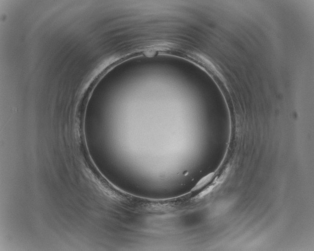 X0000072500835200607141127