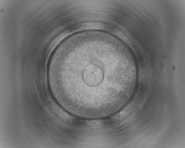 X0000072500836200607141127