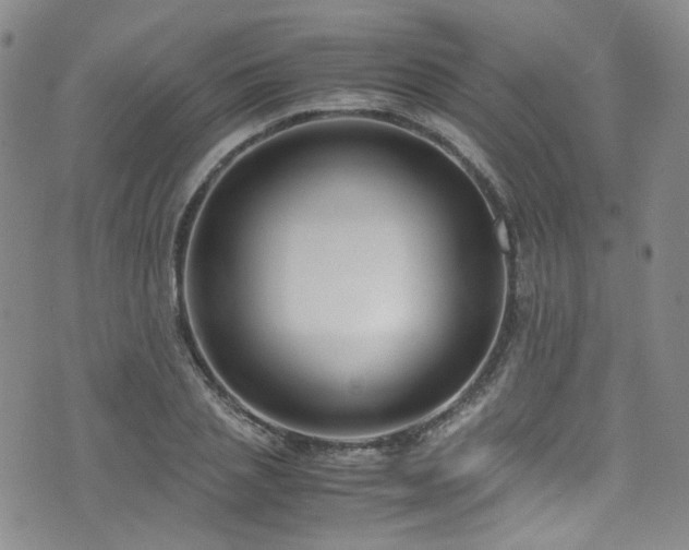 X0000072500837200607141127