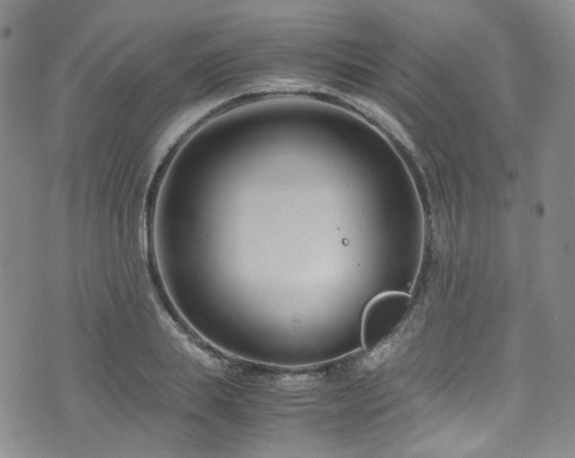 X0000072500839200607141127