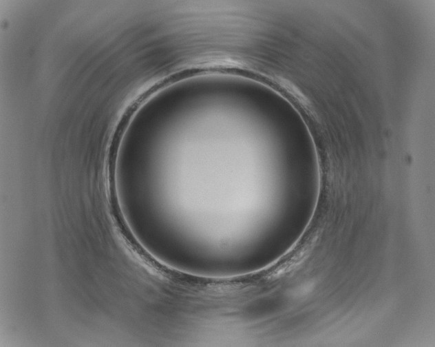 X0000072500840200607141127