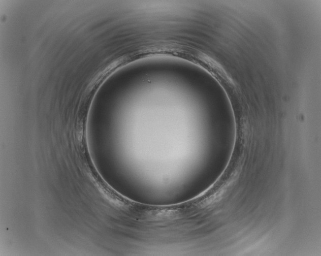 X0000072500841200607141127