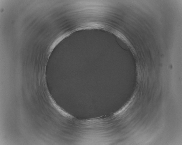 X0000072500842200607141127