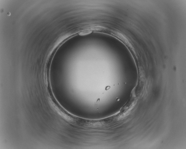 X0000072500843200607141127