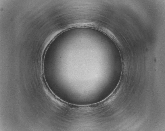 X0000072500844200607141127