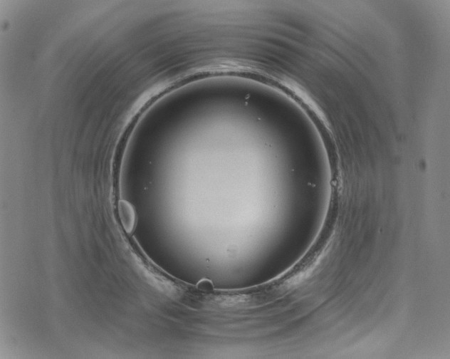 X0000072500845200607141127