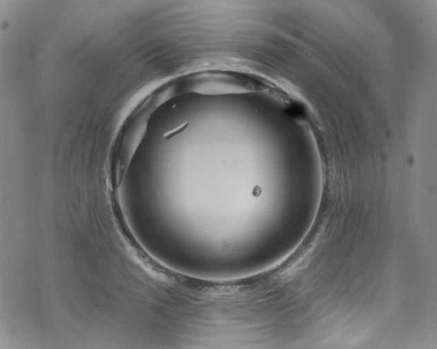 X0000072500846200607141128