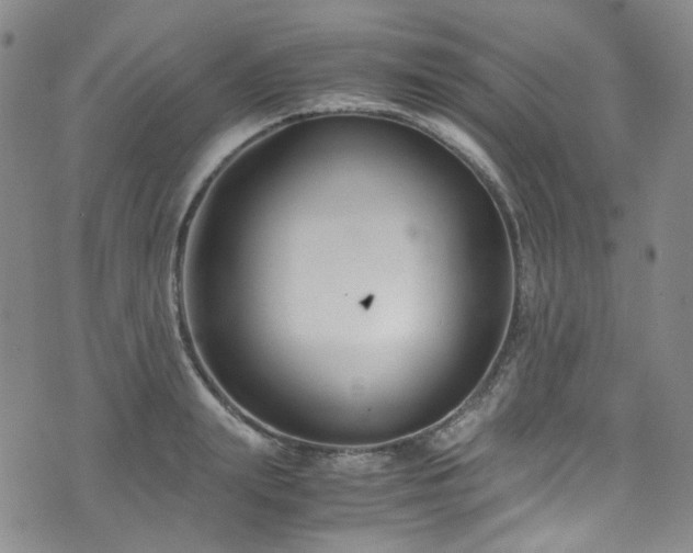 X0000072500847200607141128