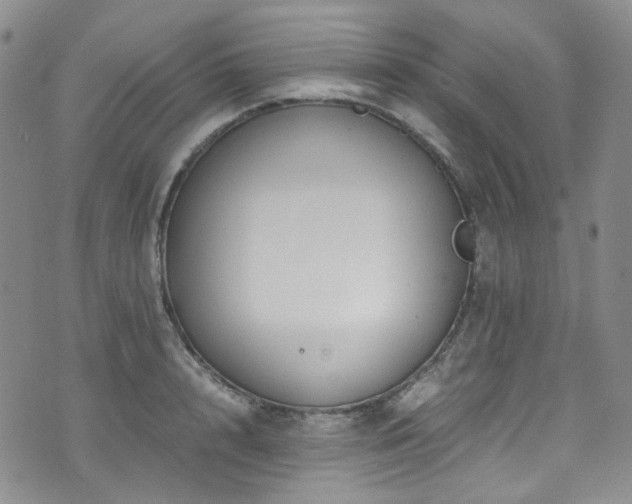 X0000072500848200607141128