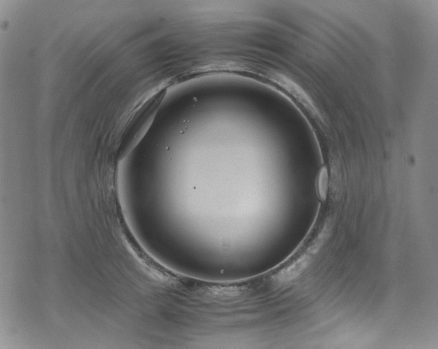 X0000072500849200607141128