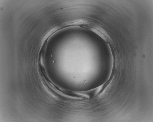 X0000072500850200607141128