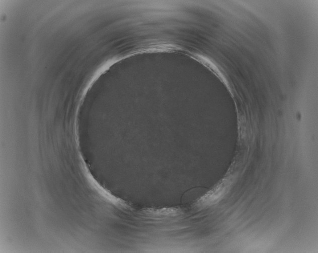 X0000072500851200607141128