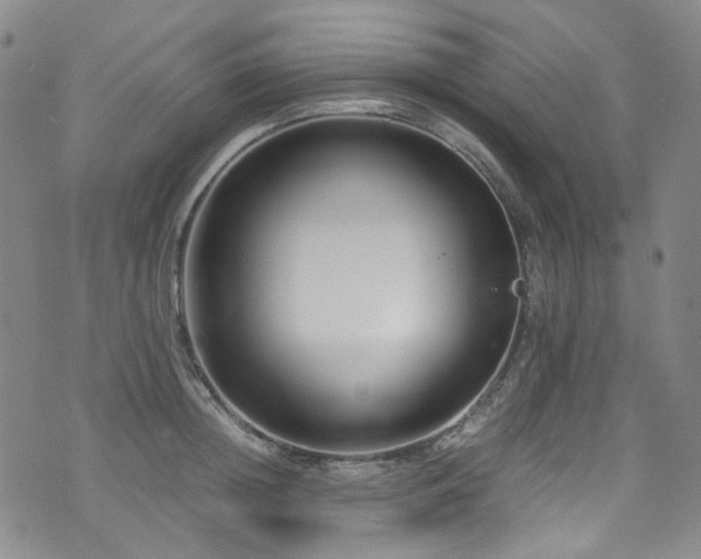 X0000072500852200607141128