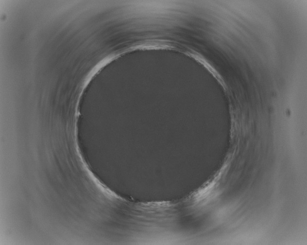 X0000072500853200607141128