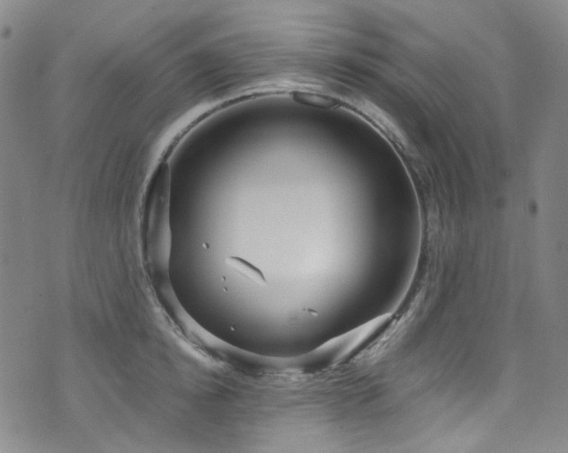 X0000072500854200607141128