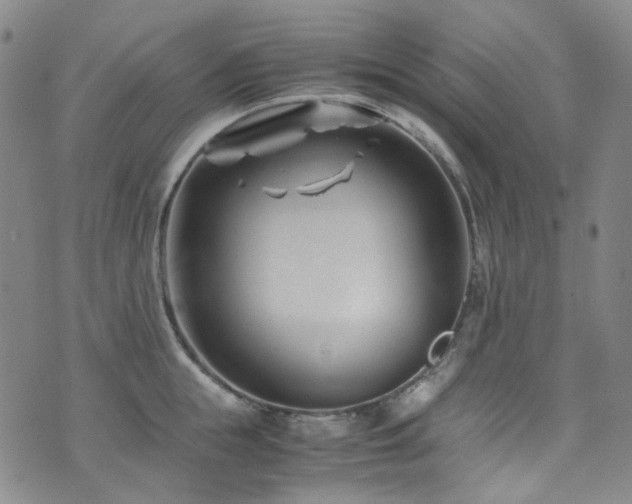 X0000072500855200607141128