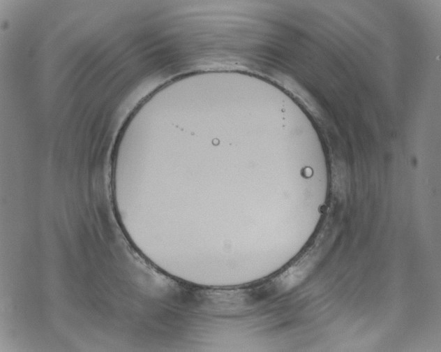 X0000072500856200607141128