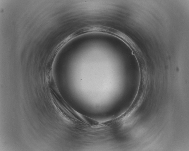 X0000072500857200607141128