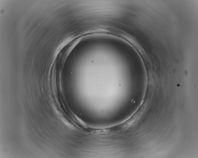 X0000072500858200607141128