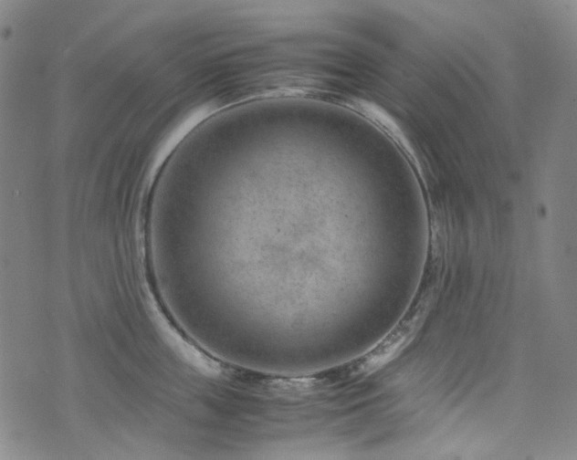 X0000072500859200607141128