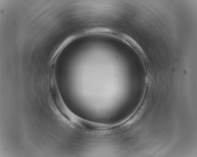 X0000072500860200607141128